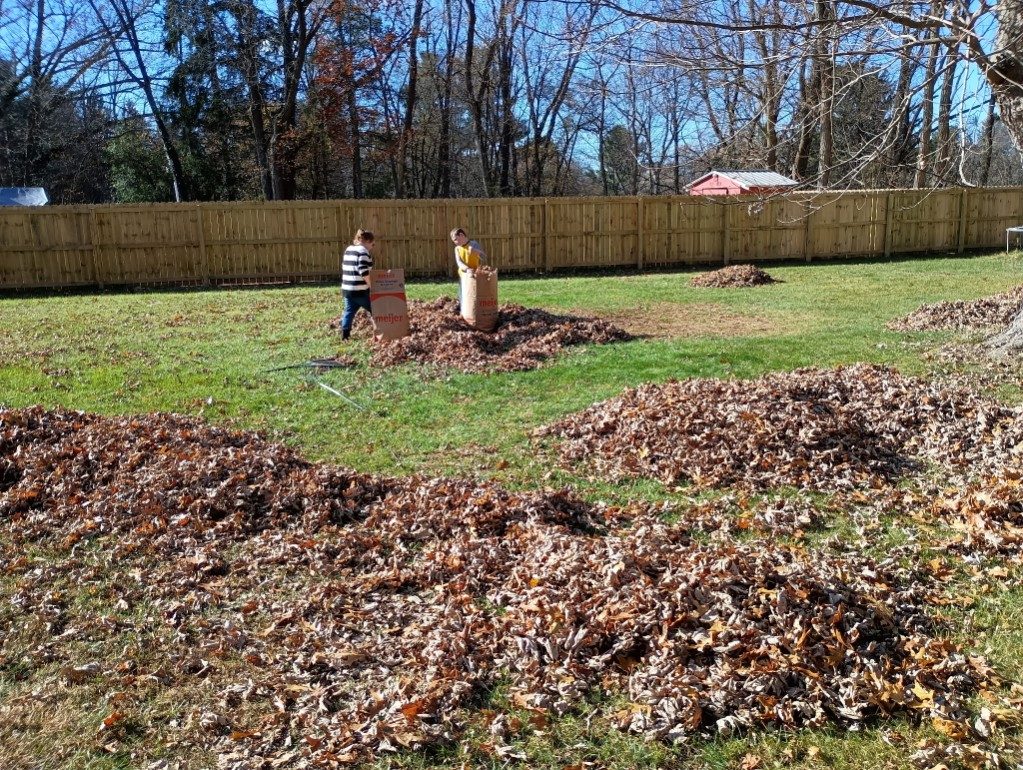 A yard of raked leaf piles mid fall cleanup with the youngest Godvision helper standing among them